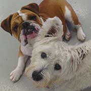 existing client registration