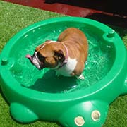 new client registration